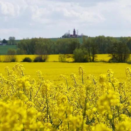 Ostseeluft * Börgerende-Rethwisch